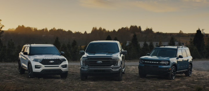 Ford Models parked in field