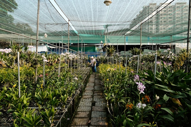A Group of people standing in a greenhouse filled with lots of plants