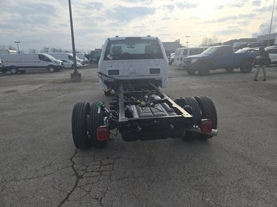 2026 Ford Super Duty F-550 DRW XL 4WD Reg Cab 169 WB 84 CA