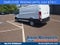 2026 Ford Transit Cargo Van T-250 130 Low Rf 9150 GVWR RWD