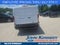 2026 Ford Transit Cargo Van T-250 148 Low Rf 9150 GVWR RWD